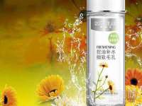南京乐艺装饰有限公司