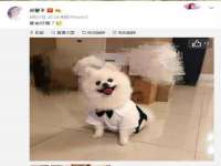南京乐艺装饰有限公司