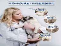 南京乐艺装饰有限公司