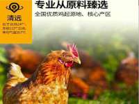 南京乐艺装饰有限公司
