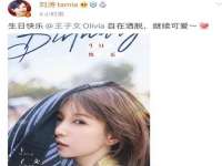 南京乐艺装饰有限公司