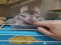 南京乐艺装饰有限公司