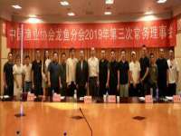 南京乐艺装饰有限公司