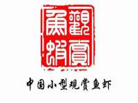 南京乐艺装饰有限公司