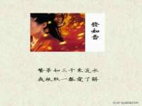 南京乐艺装饰有限公司
