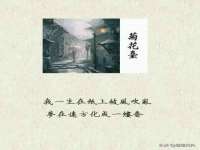 南京乐艺装饰有限公司
