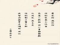 南京乐艺装饰有限公司