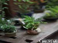 南京乐艺装饰有限公司