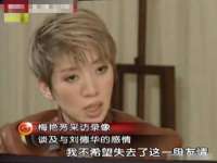 南京乐艺装饰有限公司
