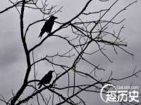 南京乐艺装饰有限公司