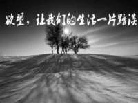 南京乐艺装饰有限公司