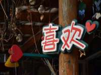 南京乐艺装饰有限公司