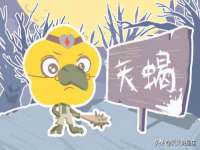 南京乐艺装饰有限公司