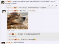 南京乐艺装饰有限公司
