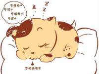 南京乐艺装饰有限公司