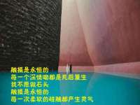 南京乐艺装饰有限公司