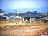 南京乐艺装饰有限公司