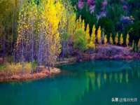 南京乐艺装饰有限公司