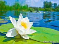 南京乐艺装饰有限公司