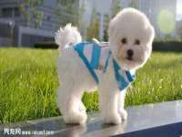 南京乐艺装饰有限公司