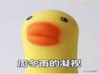 南京乐艺装饰有限公司