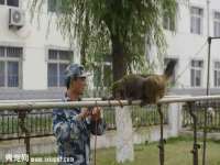 南京乐艺装饰有限公司