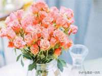 南京乐艺装饰有限公司