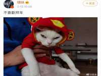 南京乐艺装饰有限公司