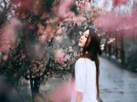 南京乐艺装饰有限公司