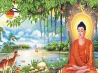 南京乐艺装饰有限公司