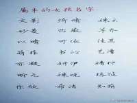 南京乐艺装饰有限公司